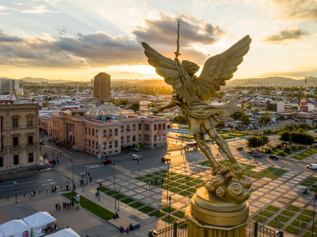 chihuahua_micai (1)